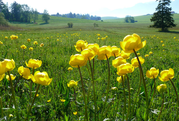 Impressionen von unserem Bauernhof